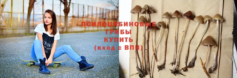 мега маркетплейс  Каневская  Галлюциногенные грибы Psilocybe 